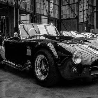 Shelby Cobra wallpaper