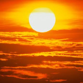 Sun wallpaper