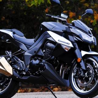 Kawasaki Z1000 wallpaper
