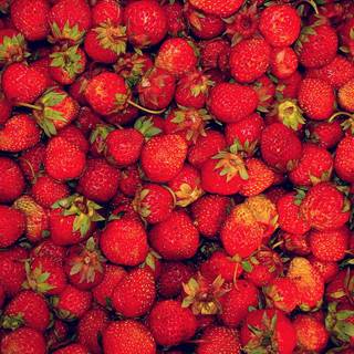 Strawberry wallpaper