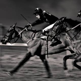 Horse racing wallpaper
