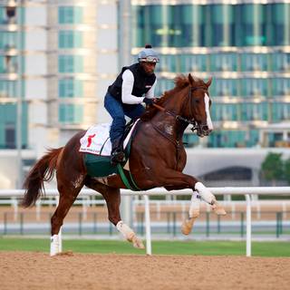 Horse racing wallpaper