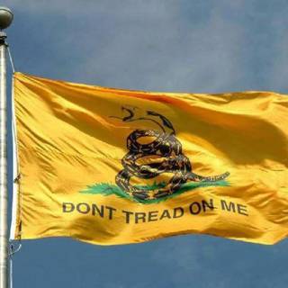 Don't tread on me wallpaper