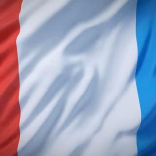French wallpaper