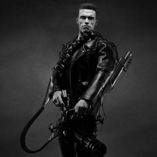 Arnold Schwarzenegger wallpaper