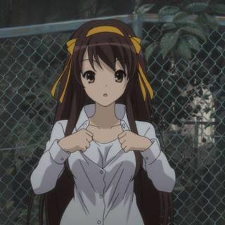 The Disappearance of Haruhi Suzumiya wallpaper