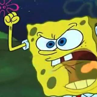 Spongebob memes wallpaper