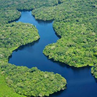 Amazon river wallpaper