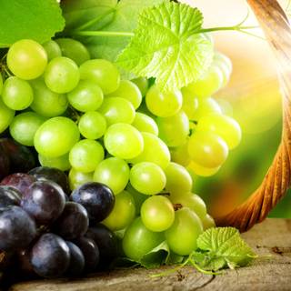 Grapes wallpaper