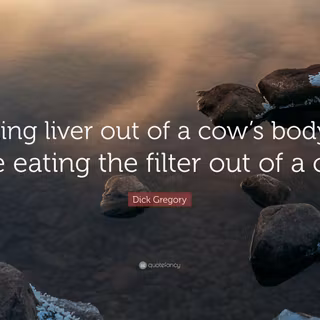 Livers body wallpaper