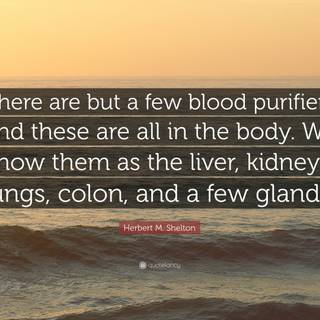 Livers body wallpaper