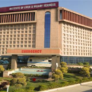 Livers body wallpaper