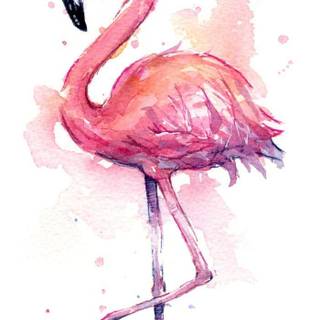 Flamingo wallpaper