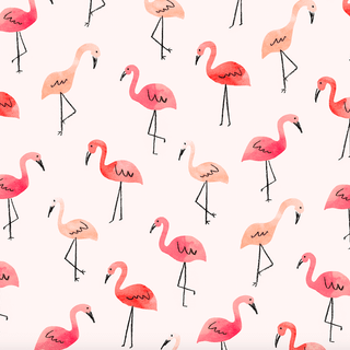 Flamingo wallpaper