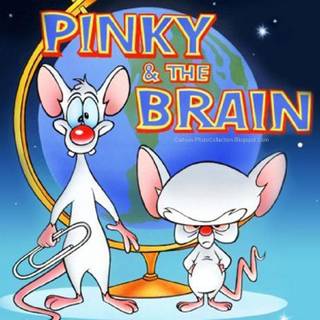 Pinky and the Brain wallpaper