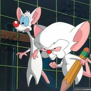 Pinky and the Brain wallpaper