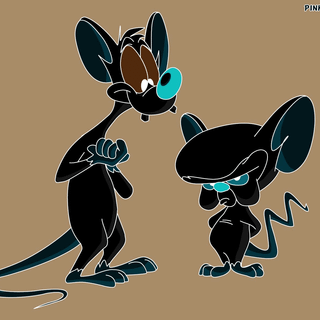 Pinky and the Brain wallpaper