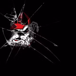 Bulldogs wallpaper
