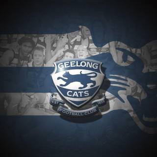AFL wallpaper
