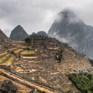 Machu Picchu wallpaper