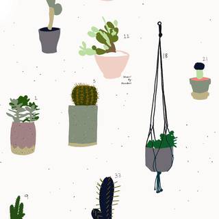Cactus wallpaper