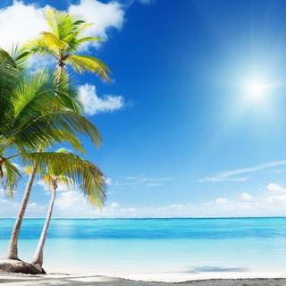 Sunny beach wallpaper