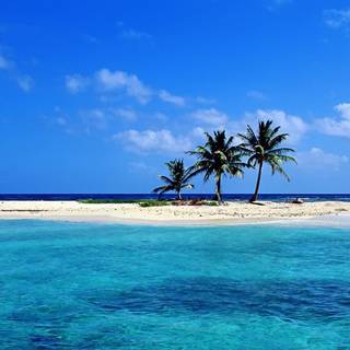 Sunny beach wallpaper