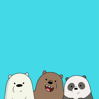Supreme Ice Bear wallpaper