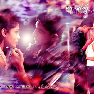 Slumdog Millionaire wallpaper