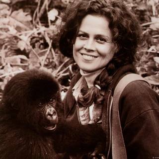 Sigourney Weaver wallpaper