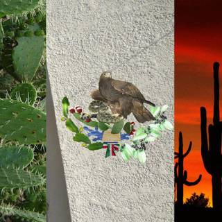 Mexican flag wallpaper