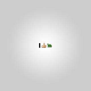 I Like Turtles wallpaper