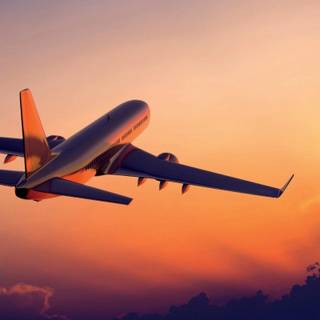 Flight wallpaper