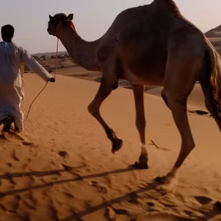 Arabian nights wallpaper