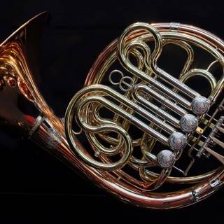 French horn wallpaper