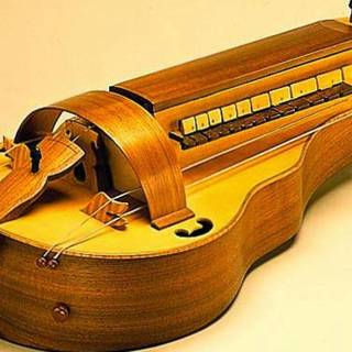 Hurdy gurdy wallpaper