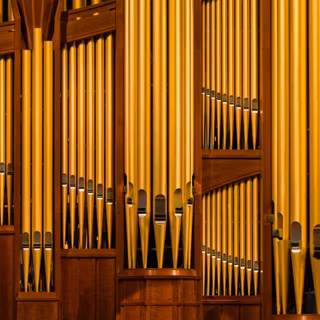 Organ wallpaper