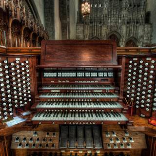 Organ wallpaper