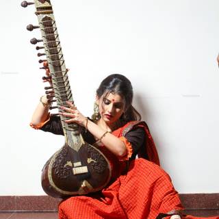 Sitar wallpaper