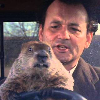 Groundhog Day movie wallpaper