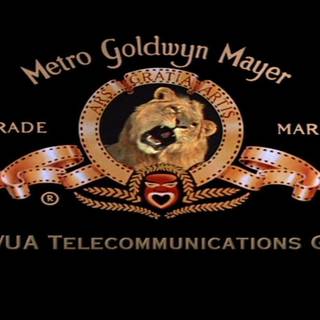 MGM Holdings wallpaper
