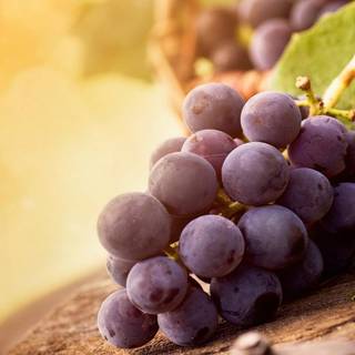 Grape wallpaper