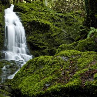 Refreshing wallpaper