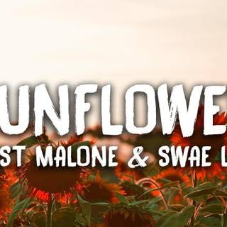Sunflower Post Malone and Swae Lee wallpaper