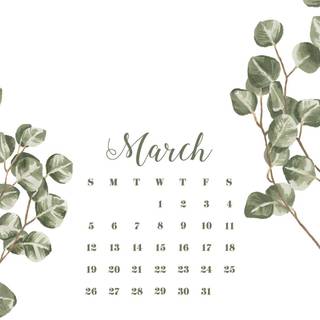 Full moon March 2019 wallpaper
