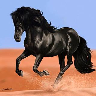 American Paint Horse wallpaper