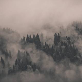 Mist wallpaper