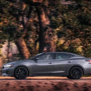 Nissan Maxima wallpaper