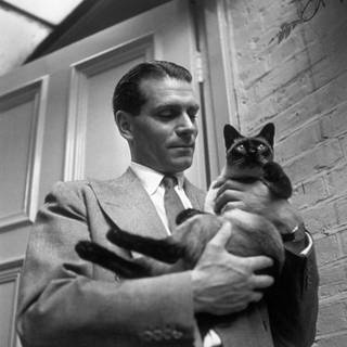 Laurence Olivier wallpaper