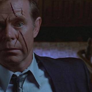 William H. Macy wallpaper